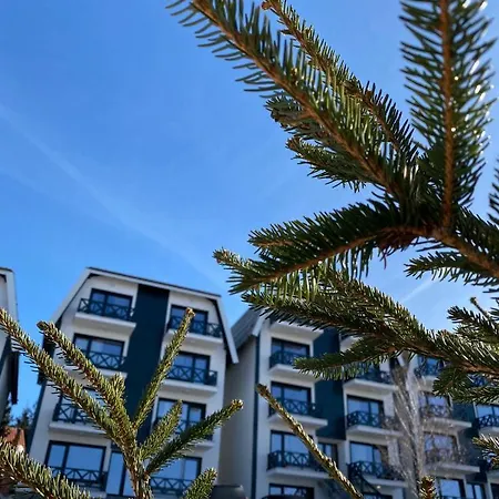 Silver Kop 2 コパオニク