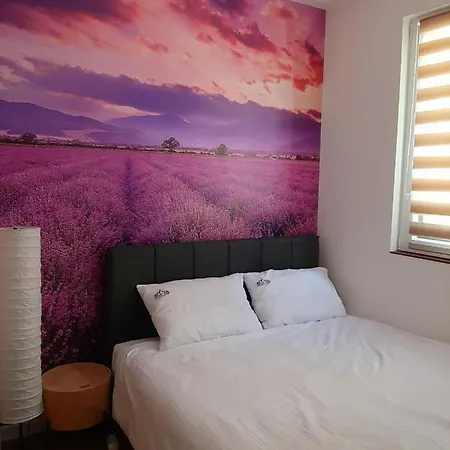 アパート Silver Kop 2