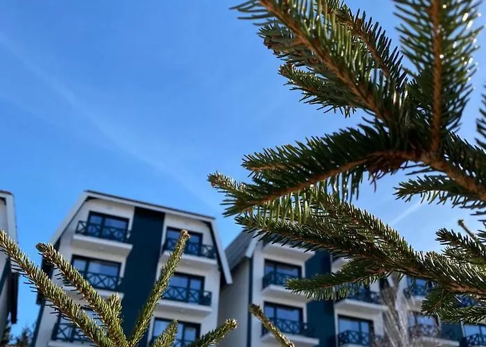 Silver Kop 2 Kopaonik