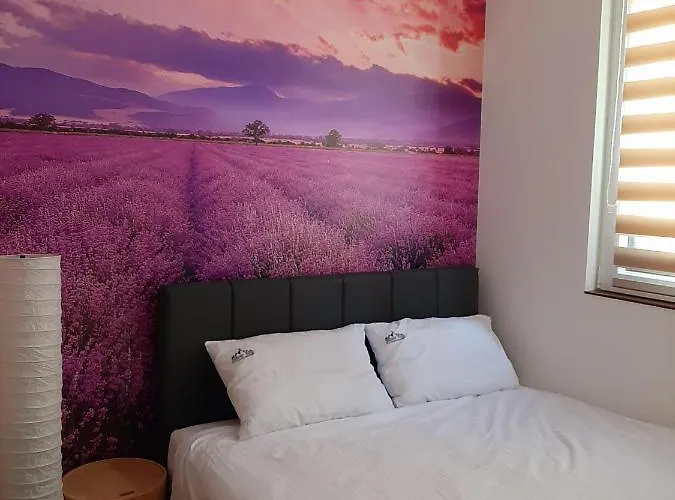 Apartment Silver Kop 2